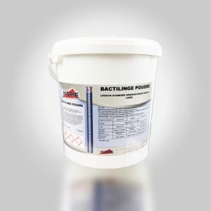 BACTILINGE POUDRE
