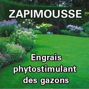 ZAPIMOUSSE