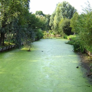 BIOLAC